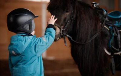 Equine Therapy for Youth with Autism